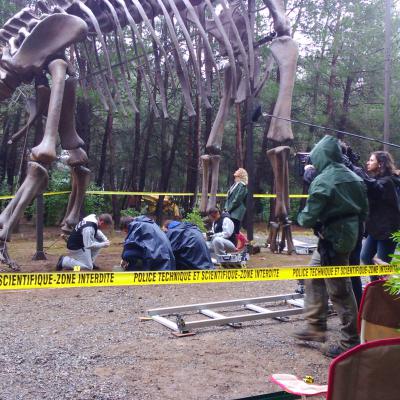 Tournage Série TV parc des Dinosaures